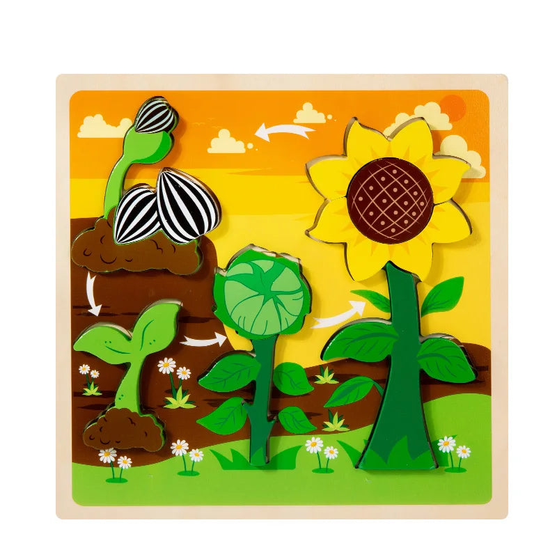 Wooden 3D Puzzle Toys