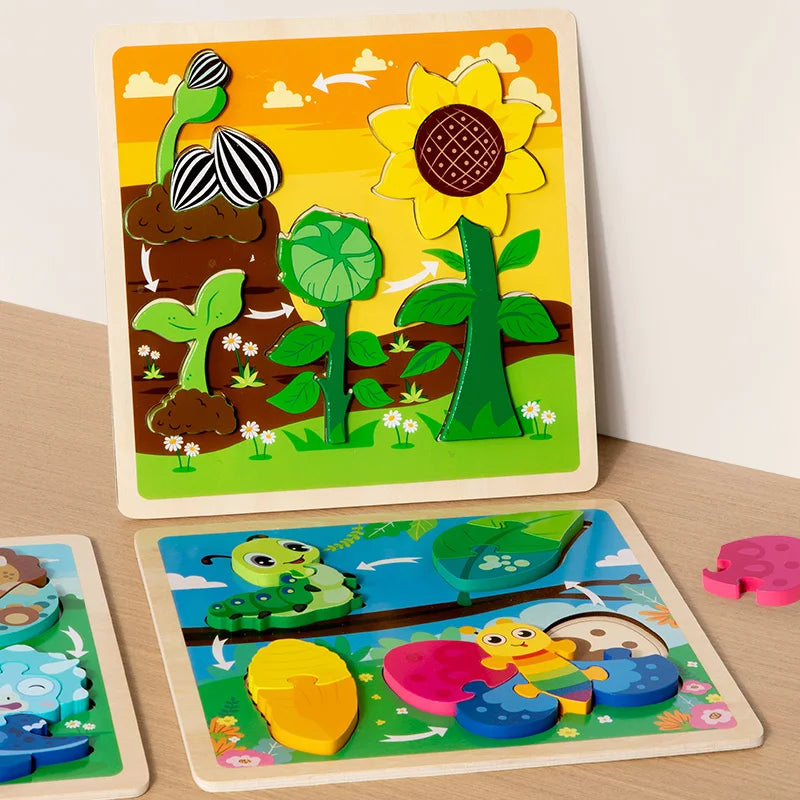 Wooden 3D Puzzle Toys