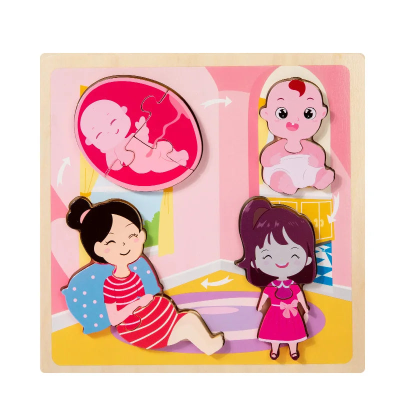 Wooden 3D Puzzle Toys