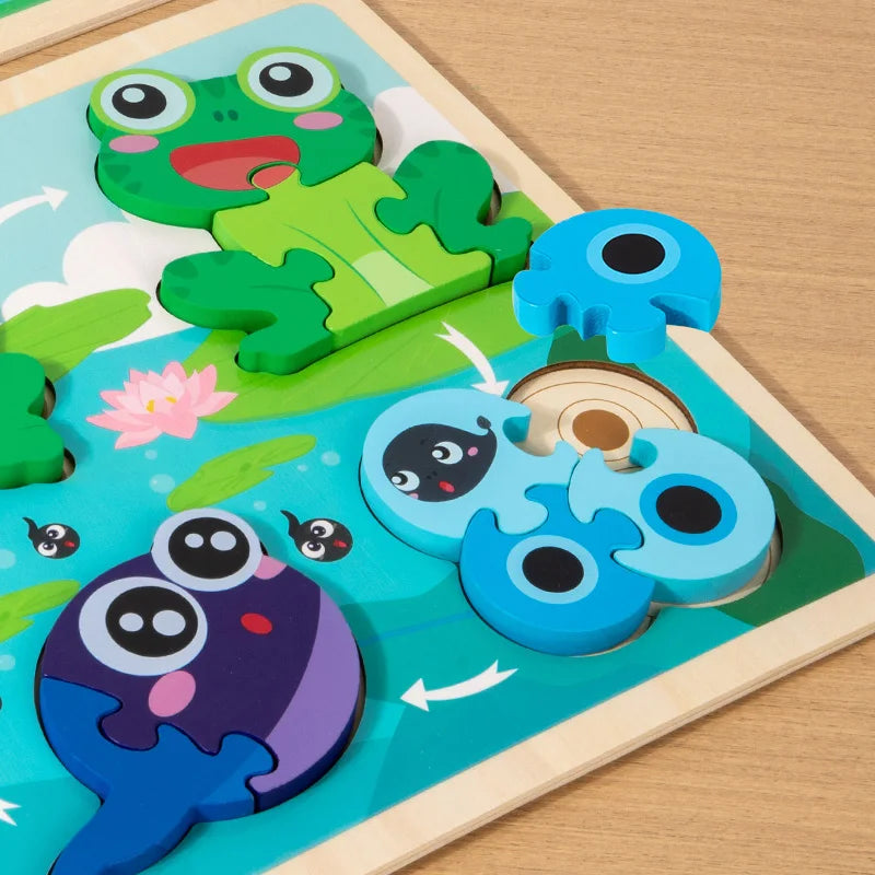 Wooden 3D Puzzle Toys