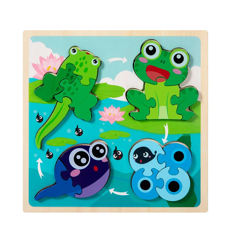 Wooden 3D Puzzle Toys