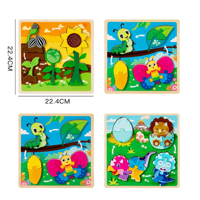 Wooden 3D Puzzle Toys