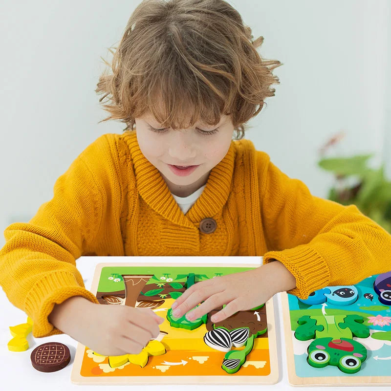Wooden 3D Puzzle Toys